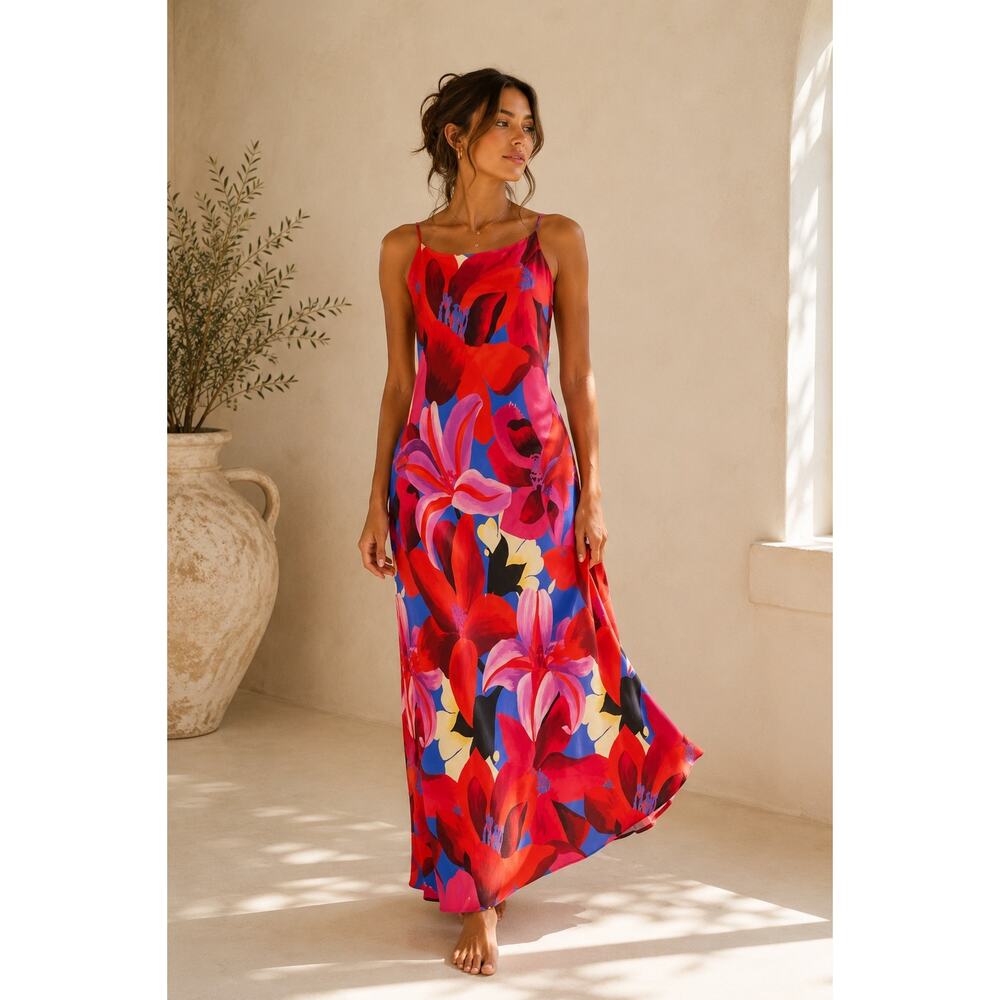 FARM Rio Red Pink Blue Floral Maxi Dress